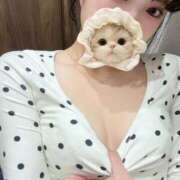 ヒメ日記 2025/11/15 19:08 投稿 ひめ スピード梅田店