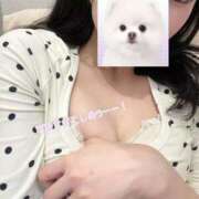 ヒメ日記 2025/12/28 14:04 投稿 ひめ スピード梅田店