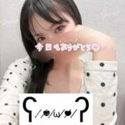 ひめ ひめ（スピード梅田店） スピード梅田店