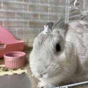 ヒメ日記 2025/11/03 23:18 投稿 ゆな プリコレ（PRINCESS COLLECTION）