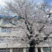 ゆな 感謝🙏✨️ プリコレ（PRINCESS COLLECTION）