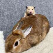 ゆな 今日は買い物してきたよ🛍 Delyz（デリーズ）