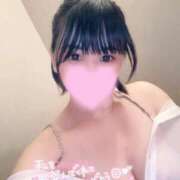 ヒメ日記 2025/08/29 04:57 投稿 ミライ(奥方) 奥様幕府