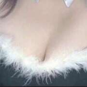 ヒメ日記 2025/08/30 05:57 投稿 ミライ(奥方) 奥様幕府