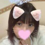 ヒメ日記 2025/08/30 06:10 投稿 ミライ(奥方) 奥様幕府