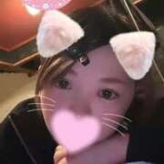 ヒメ日記 2025/09/02 04:57 投稿 ミライ(奥方) 奥様幕府