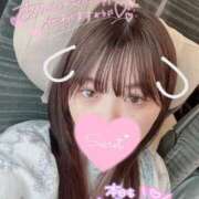 ヒメ日記 2025/09/04 04:07 投稿 ミライ(奥方) 奥様幕府