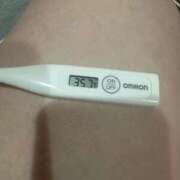 ヒメ日記 2025/09/04 15:17 投稿 ミライ(奥方) 奥様幕府