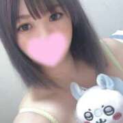 ヒメ日記 2025/09/05 03:17 投稿 ミライ(奥方) 奥様幕府