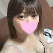 ヒメ日記 2025/09/06 05:47 投稿 ミライ(奥方) 奥様幕府