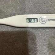 ヒメ日記 2025/09/09 15:17 投稿 ミライ(奥方) 奥様幕府