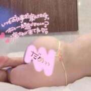 ヒメ日記 2025/09/10 14:57 投稿 ミライ(奥方) 奥様幕府