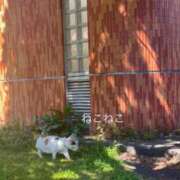 ヒメ日記 2026/02/25 18:46 投稿 ゆな はちみつ