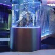 ヒメ日記 2025/11/04 16:09 投稿 宮田 早苗 熟女・人妻マダム宮殿