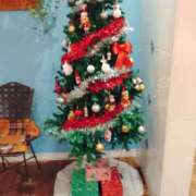 ヒメ日記 2025/12/17 23:17 投稿 宮田 早苗 熟女・人妻マダム宮殿