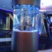 ヒメ日記 2026/03/17 17:14 投稿 宮田 早苗 熟女・人妻マダム宮殿