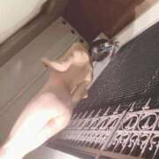 ヒメ日記 2025/09/24 12:30 投稿 新人・愛莉(あいり) グランドオペラ福岡