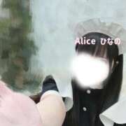 ひなの きてきて~💘 究極の素人専門店Alice-アリス-