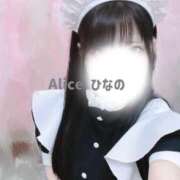 ヒメ日記 2026/04/12 16:47 投稿 ひなの 究極の素人専門店Alice-アリス-