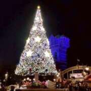 ヒメ日記 2025/11/22 15:51 投稿 るん マリン土浦本店