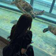 ヒメ日記 2025/09/06 08:31 投稿 せりか ビギナーズ神戸