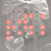 ヒメ日記 2025/11/25 09:01 投稿 せりか ビギナーズ神戸