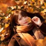 ヒメ日記 2025/11/25 14:38 投稿 せりか ビギナーズ神戸