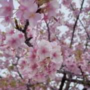 ヒメ日記 2026/03/31 08:57 投稿 せりか ビギナーズ神戸