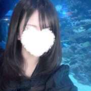 せりか 水族館で好きなのは ビギナーズ神戸