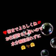 ヒメ日記 2026/06/15 08:34 投稿 きよか 北九州人妻倶楽部（三十路、四十路、五十路）