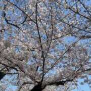 ヒメ日記 2026/04/02 00:06 投稿 さゆり ジュリアングループ八王子店