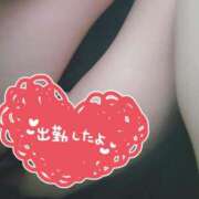 ヒメ日記 2025/11/11 10:00 投稿 吉川　はなみ エテルナ京都