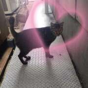 ヒメ日記 2025/09/23 01:57 投稿 ゆうき ベイキュート