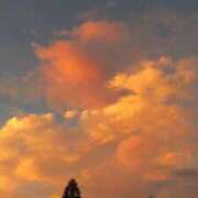 みるく 出勤 しろうとCollection