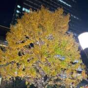 ヒメ日記 2025/12/24 19:17 投稿 みるく しろうとCollection