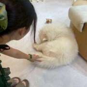 ヒメ日記 2025/09/02 07:00 投稿 こゆき エマーブル