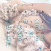 ヒメ日記 2025/10/31 07:01 投稿 こゆき エマーブル