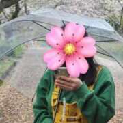 ヒメ日記 2026/04/07 18:01 投稿 こゆき エマーブル