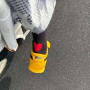 ヒメ日記 2026/04/20 19:00 投稿 こゆき エマーブル