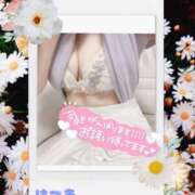 はづき 本日14時から！ 千葉人妻セレブリティ（ユメオト）