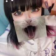 ヒメ日記 2025/11/13 17:30 投稿 たまき One More奥様　横浜関内店