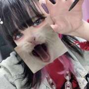 ヒメ日記 2025/11/19 15:13 投稿 たまき One More奥様　横浜関内店