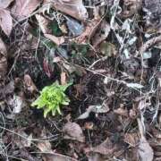 ヒメ日記 2026/03/23 23:11 投稿 ナギ ラブ&ピース 大宮店