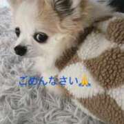 ヒメ日記 2025/12/25 08:54 投稿 相原 あずさ こあくまな熟女たち小倉店（KOAKUMAグループ）