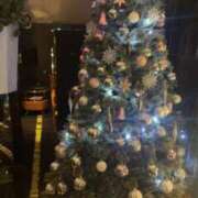 ヒメ日記 2025/11/17 18:38 投稿 るいな【高身長キレカワ美人】 STELLA TOKYO－ステラトウキョウ－