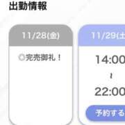 ヒメ日記 2025/11/29 14:13 投稿 るいな【高身長キレカワ美人】 STELLA TOKYO－ステラトウキョウ－