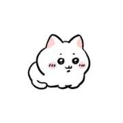 ヒメ日記 2026/01/14 16:01 投稿 るいな【高身長キレカワ美人】 STELLA TOKYO－ステラトウキョウ－