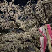 ヒメ日記 2026/04/08 18:02 投稿 神谷れな 五反田はじめてのエステ