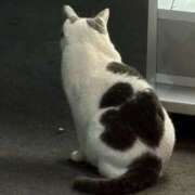 ヒメ日記 2026/01/19 16:57 投稿 うらん プールサイド新橋店