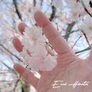 ヒメ日記 2026/04/05 15:02 投稿 平田えみ 五十路マダムエクスプレス横浜店（カサブランカグループ）